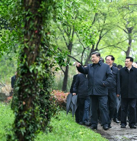 习近平：让湿地公园成为人民群众共享的绿意空间 新闻报道 中国共产党新闻网