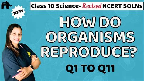 How Do Organisms Reproduce Class 10 Science Revised NCERT Solutions