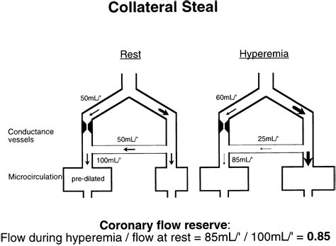 direct intracoronary evidence  collateral steal  humans circulation