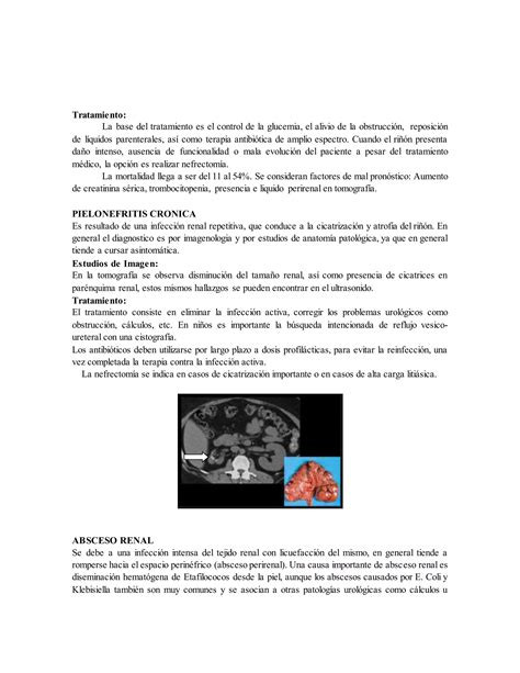 Infección urinaria guía de estudio PDF