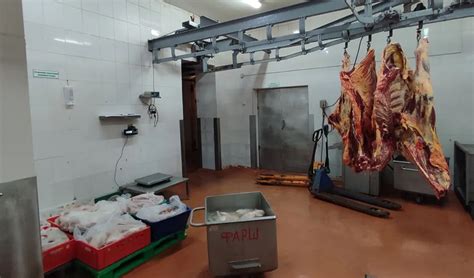 Раскрыта схема хищения и сбыта мяса в Брестской области - ущерб более ...