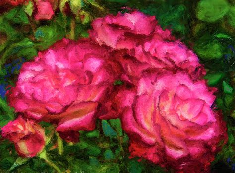 Trio Of Red Roses Original Digital Art Digital Art By Jess E Hooper