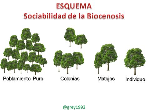 Biocenosis O Comunidades Bióticas — Hive