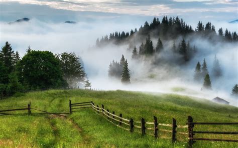 Brown Wooden Fence Nature Landscape Mist Fence HD Wallpaper