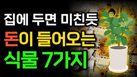 부잣집에 꼭 있다는 식물 7가지 풍수 부자 인테리어 돈 되는 식물 Youtube