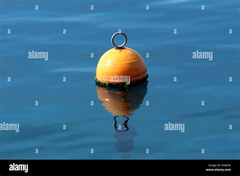 Orange Plastic Buoy With Metal Ring On Top Surrounded With Green Algae