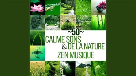 Calme Sons De La Nature YouTube