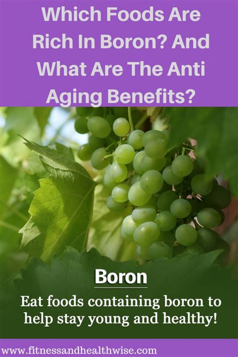 Which Foods Are Rich In Boron And What Are The Anti Aging Benefits