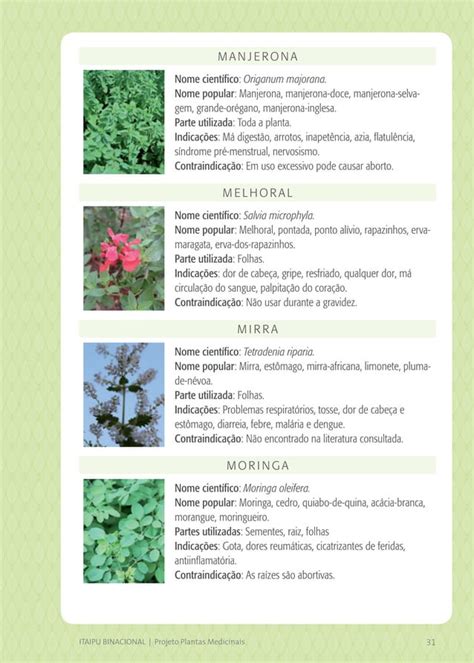 Cartilha Projeto Plantas Medicinais PDF