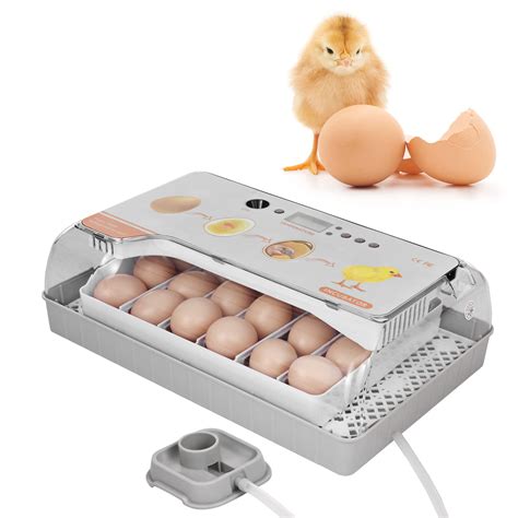 Buy Adium Digital Egg Incubator Eggs Poultry Hatcher With Auto Egg