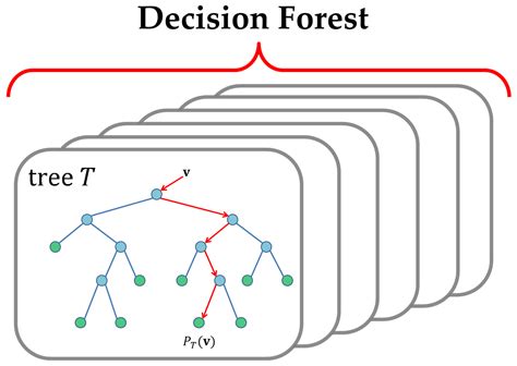 Introduction To Random Forest Blog Dimensionless