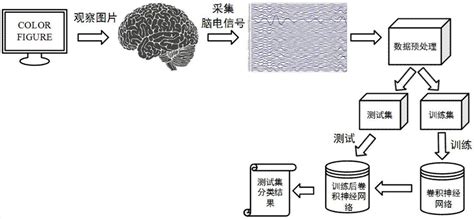 一种基于卷积神经网络的脑电信号eeg身份识别方法与流程