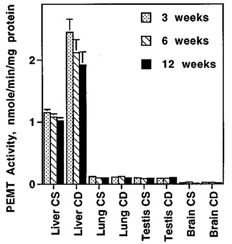 Phosphatidylethanolamine N Methyltransferase Pemt Activity In Tissues