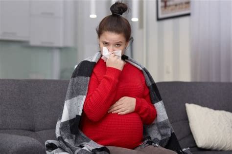 Deal With Dengue During Pregnancy Ways To Manage Dengue Cloudnine Blog