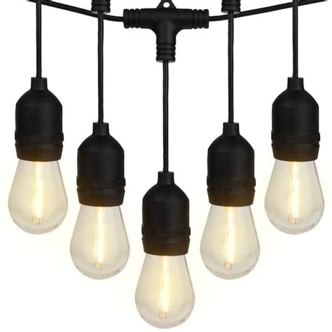 Pure Garden 15 Vintage Style Edison Bulbs 50 Ft Outdoor Plug In