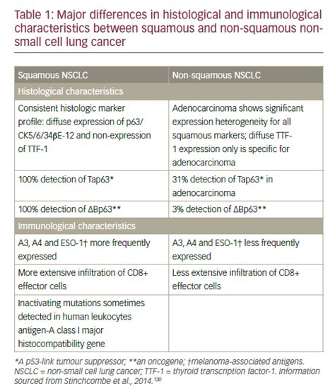 Small Cell Lung Cancer Vs Nsclc Cancerwalls