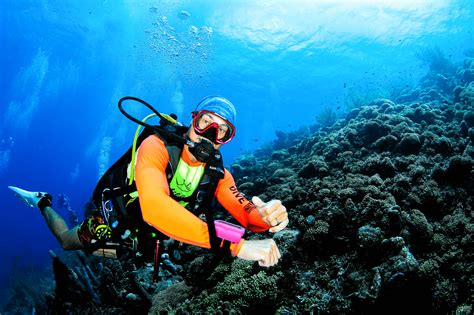 Complacency In Scuba Diving Understanding The Paradox