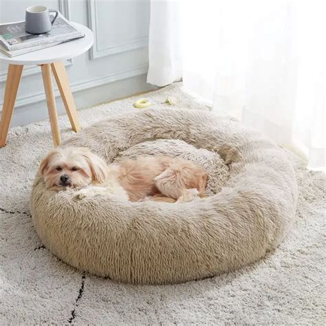 8 Best Dog Beds For Anxiety