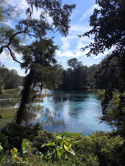 Lake Griffin State Park - Parks Guidance