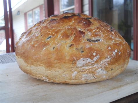 Trend Hopping Crusty Mediterranean Black Olive Rosemary Bread