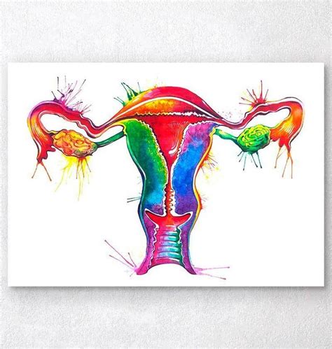 Uterus Anatomy Art Watercolor Splash Uterus Art Anatomy Art