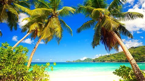 Tropical Paradise Exotic Ocean Bonito Sky Palms Sea Beach Water