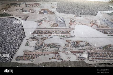 Great Palace Mosaic Museum In Istanbul City Turkey Stock Photo Alamy