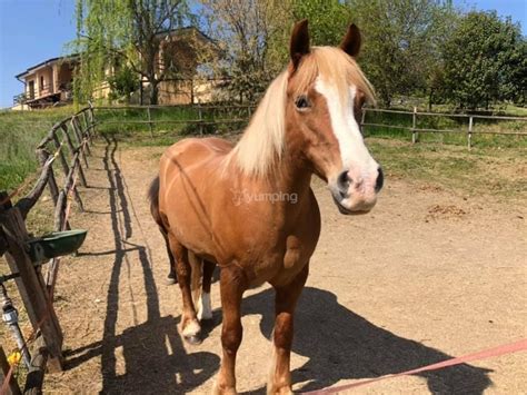 Reiten In Den Saline Di Ostia Aperitif PREISE VON 30 De Yumping It