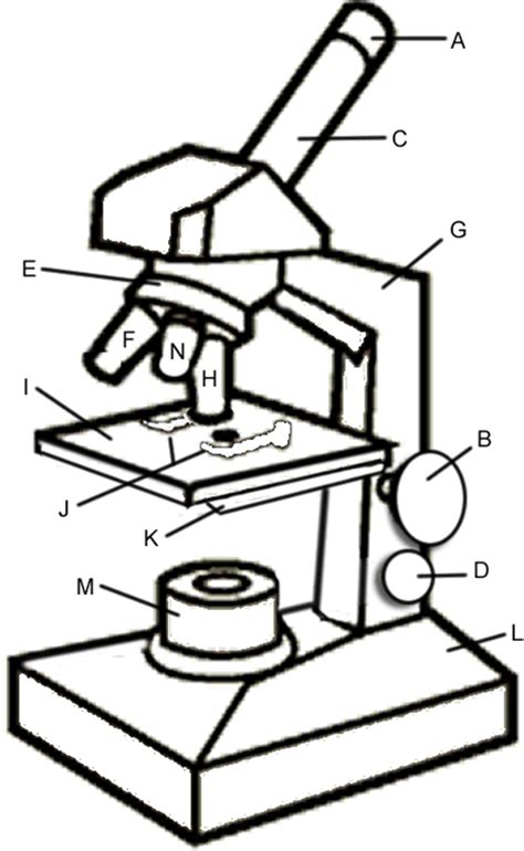 Microscope Coloring | Teaching biology, Science biology, Homeschool science