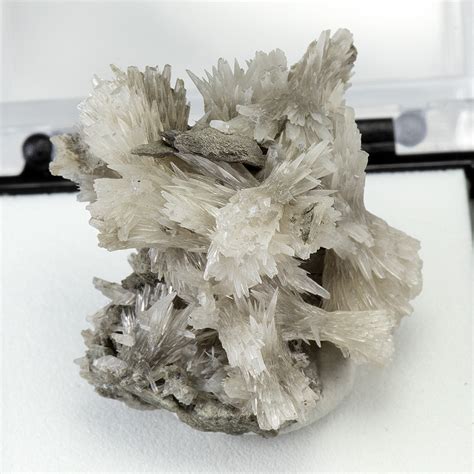 Strontianite - Minerals For Sale - #8602144