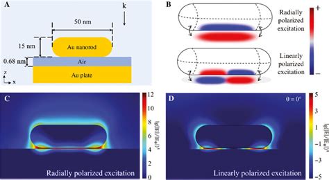 Simulation Of The Au Nanorod Graphene Au Microplate Hybrid System A Download Scientific