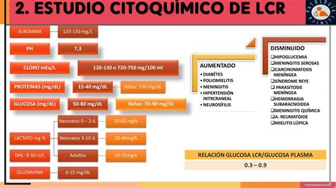 L Quido Cefalorraqu Deo Estudio Citoqu Mico Lisbeth Cc Udocz