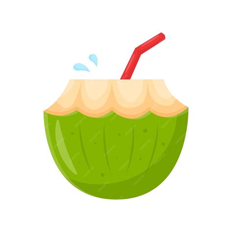 Premium Vector Coconut Drink Vector Illustration