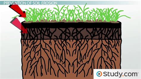 Types Of Soil Erosion And Prevention at David Rachael blog