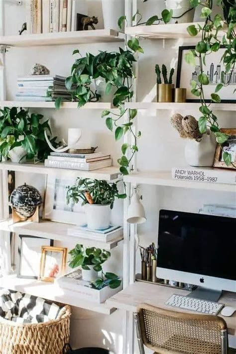 32 Office Plants You’ll Want To Adopt