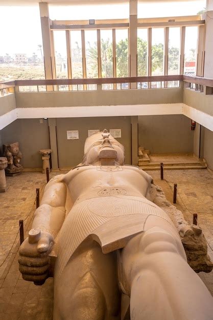 La escultura del coloso de ramsés ii en menfis en el cairo egipto