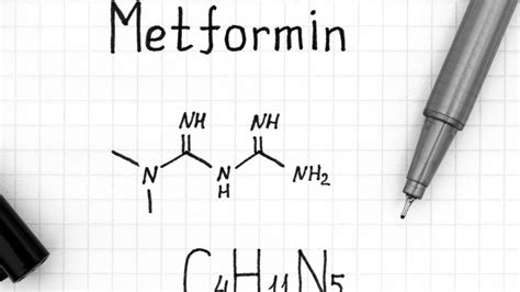 The Basics Of Metformin An Essential Guide Livingdiabetes