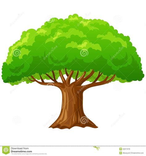 Cartoon Big Green Tree Isolated On White Stock Vector Illustration