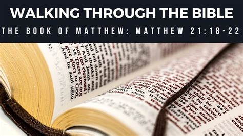 What Is The Lesson Of The Fig Tree Matthew 21 18 22 Lesson 103 W