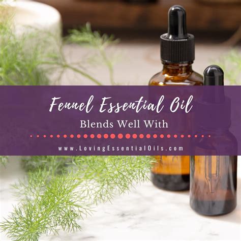 Fennel Essential Oil Blends Well With Diffuser Benefits Loving