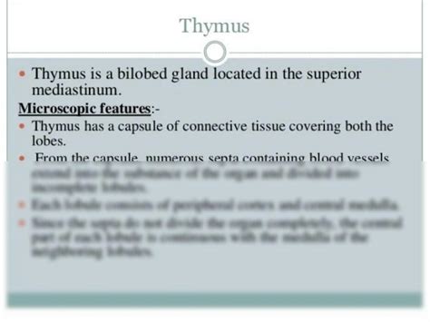 Solution Histology Of The Lymphatic System Studypool