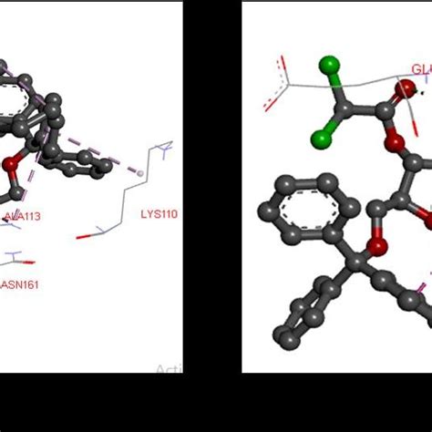 Binding Affinity Kcalmol And Nonbonding Interactions Of Uridine And