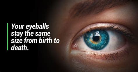 Your Eyes Might Pop Out After Reading These 11 Interesting Facts About Eyes