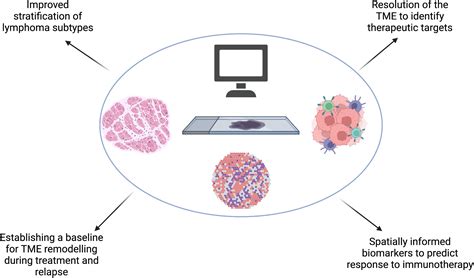 Frontiers Location Location Location Mapping The Lymphoma Tumor