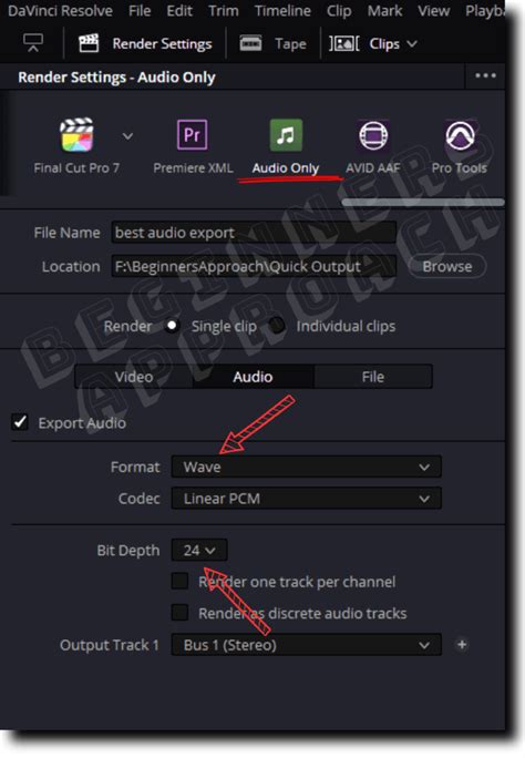 Davinci Resolve Export Audio Only Get This Setting Right