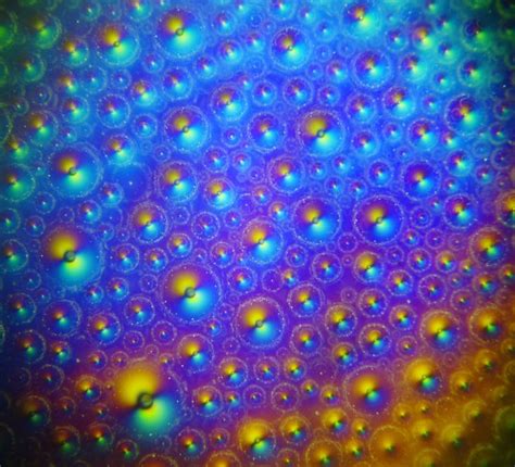 Soap Bubbles - CLEstate science photo of the month by Physics prof Andy ...