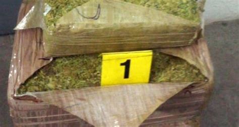 Decomisan Kilos De Mariguana En Empresa De Paqueter A Guardia Nocturna