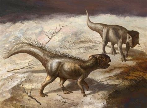 diabloceratops | Tumblr | Prehistoric animals, Dinosaur art ...