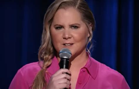 Sinopsis Film Amy Schumer Emergency Contact 2023 Faktaid