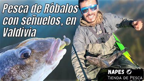 Pesca de Róbalos con Señuelos en Valdivia Chile YouTube